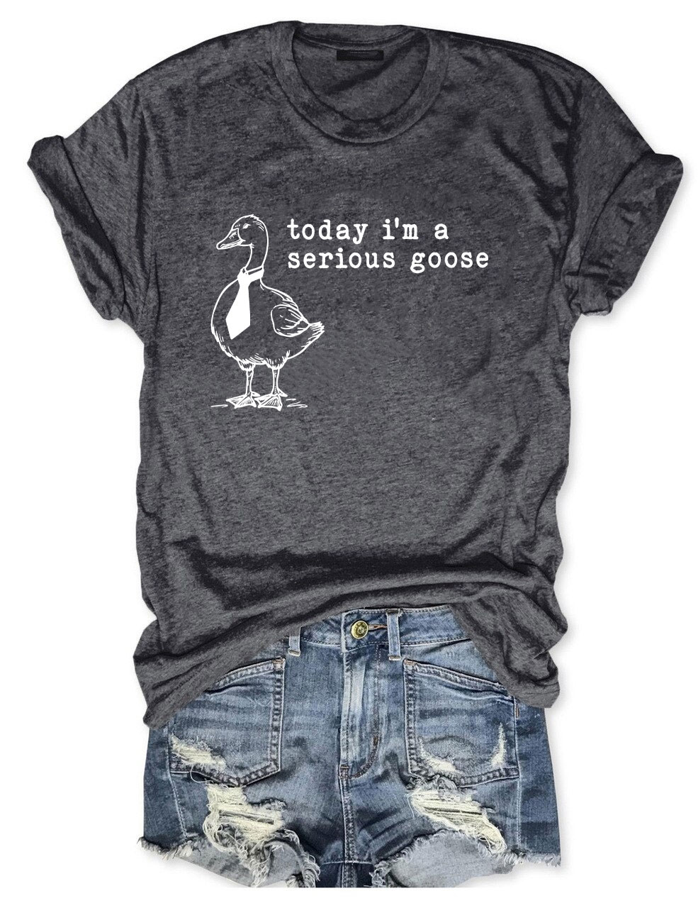 Today I'm a Serious Goose T-Shirt