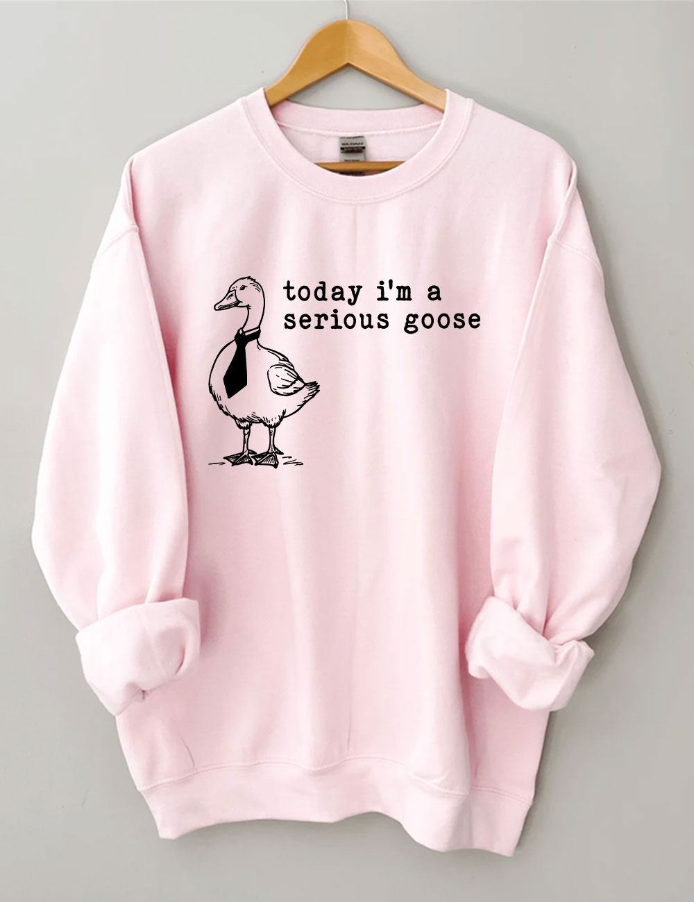 Today I'm a Serious Goose Sweatshirt