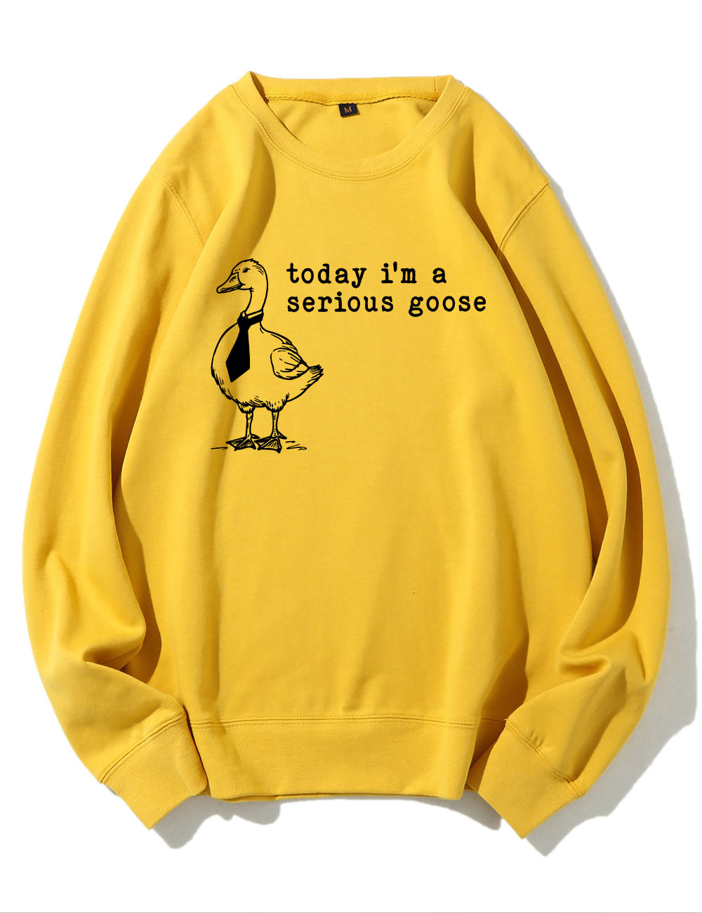 Today I'm a Serious Goose Sweatshirt