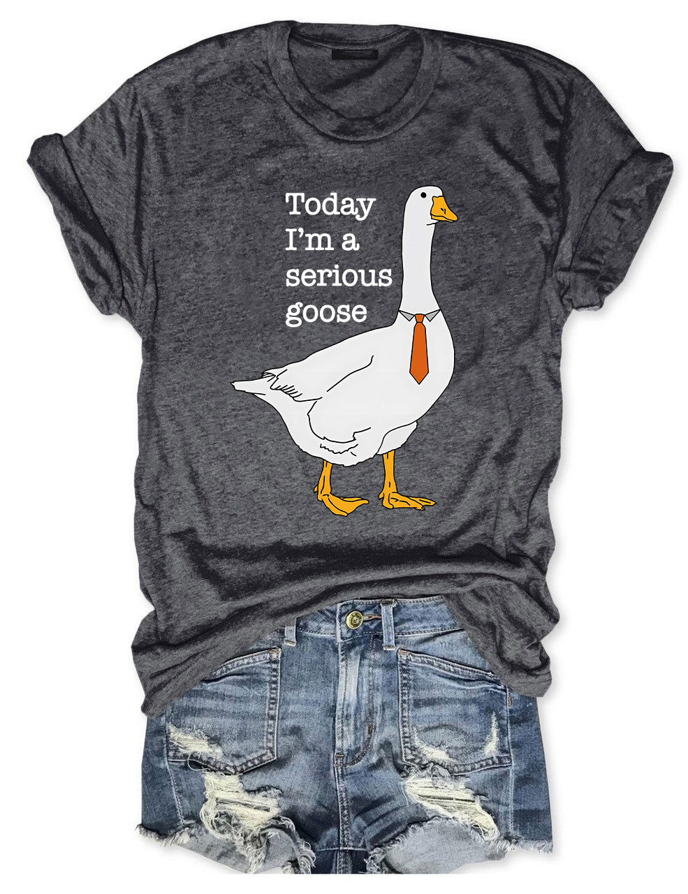 Today I'm A Serious Goose T-Shirt