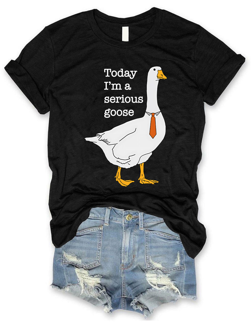Today I'm A Serious Goose T-Shirt