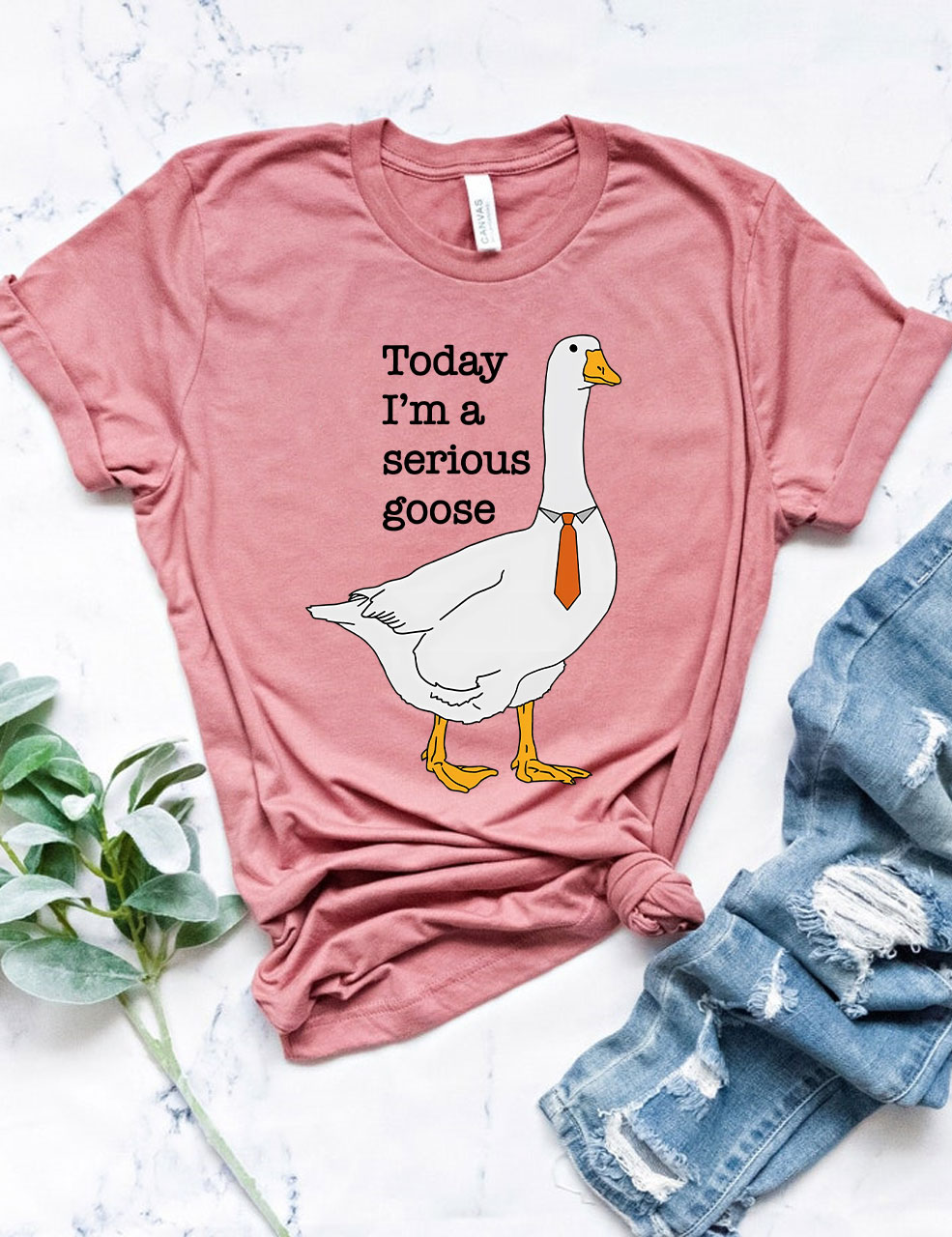 Today I'm A Serious Goose T-Shirt