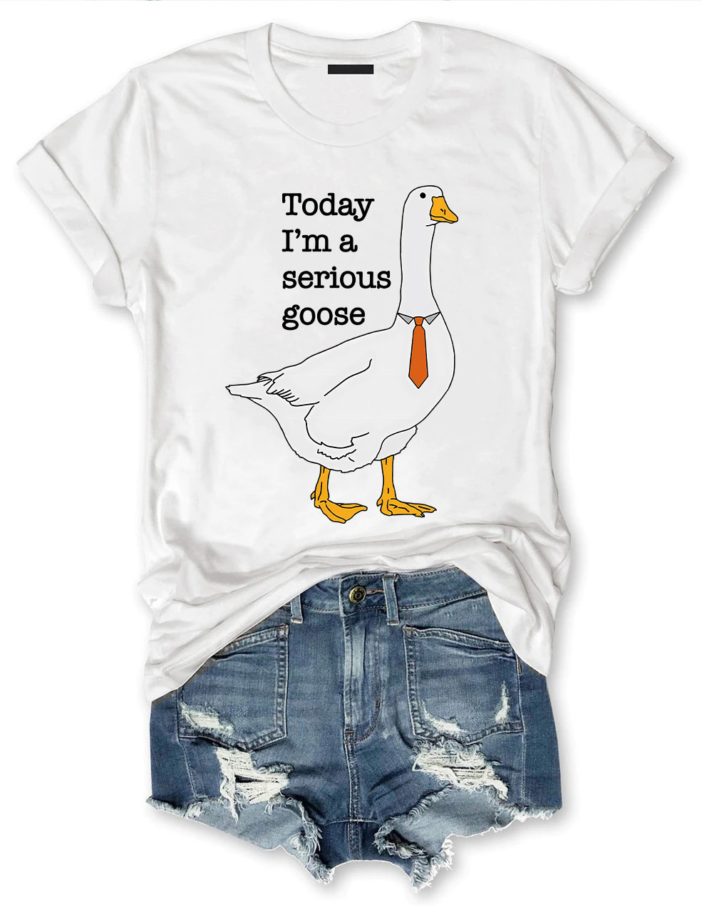 Today I'm A Serious Goose T-Shirt