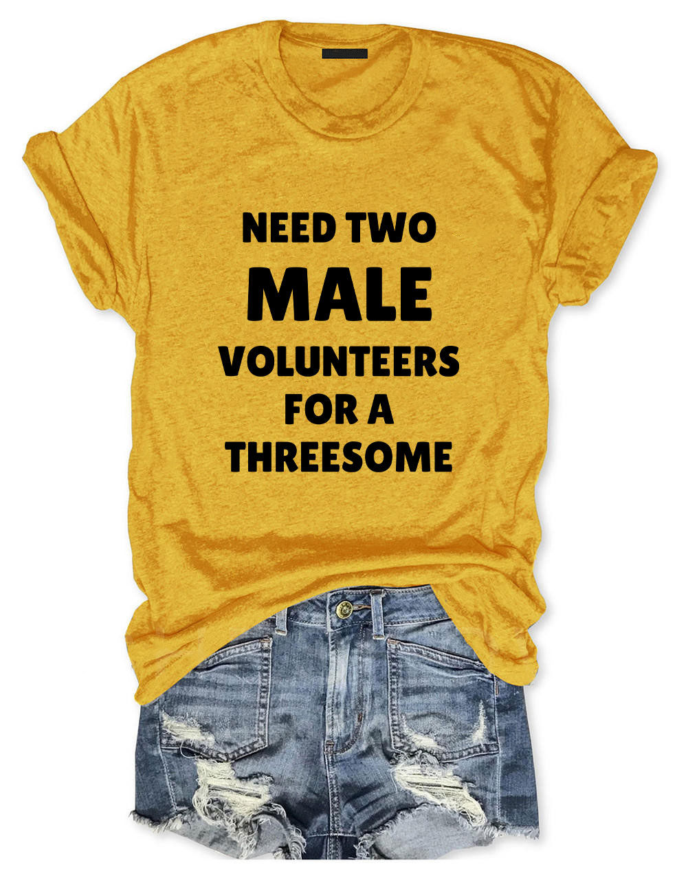 Need Two Male Volunteers For A Threesome T-Shirt