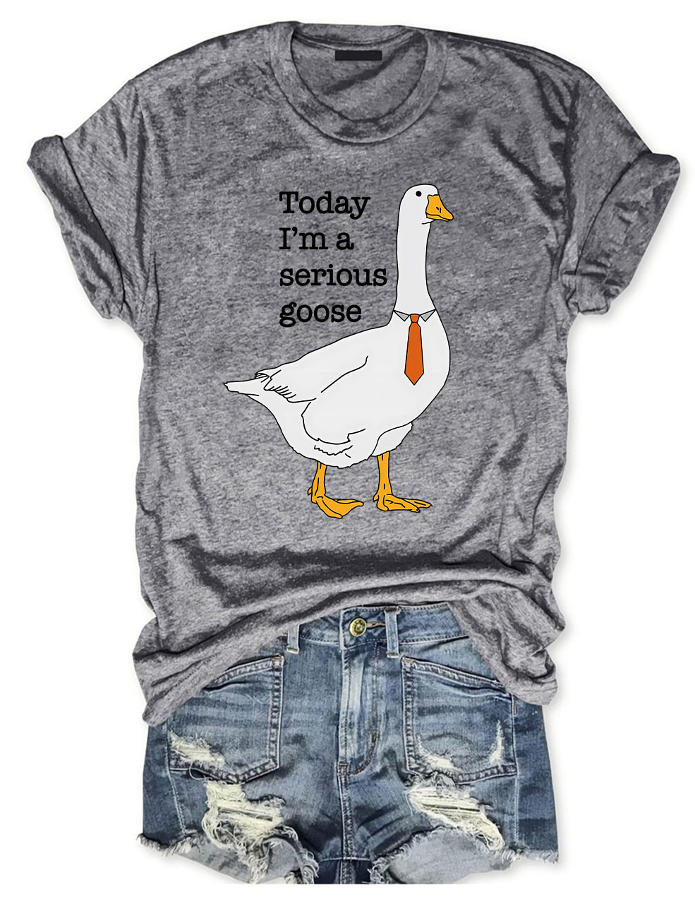 Today I'm A Serious Goose T-Shirt