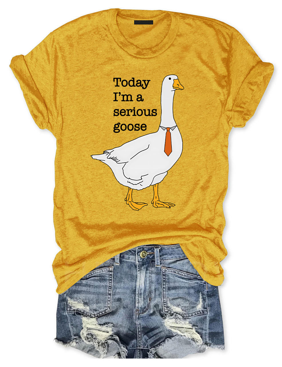 Today I'm A Serious Goose T-Shirt