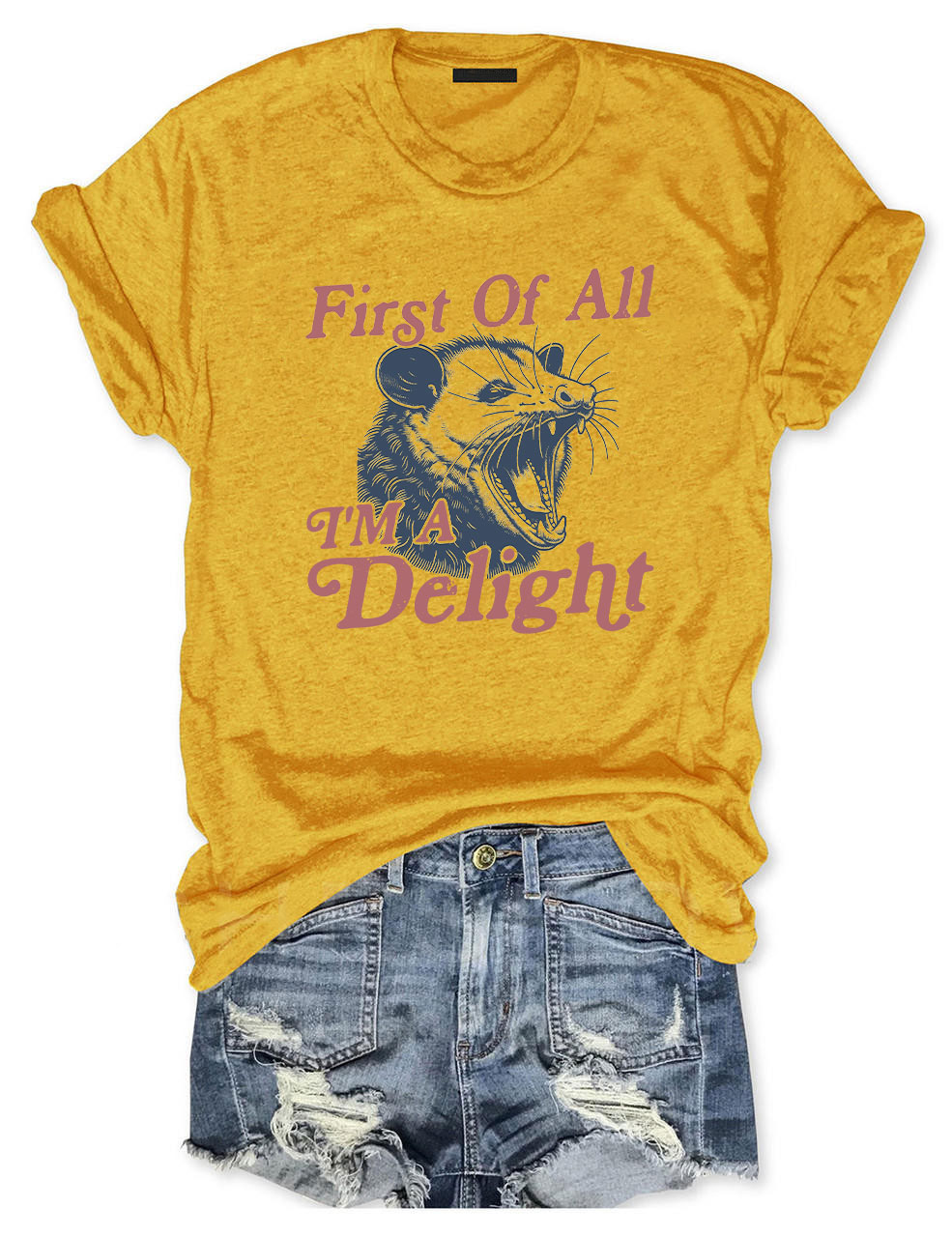 First of All, I'm a Delight T-shirt