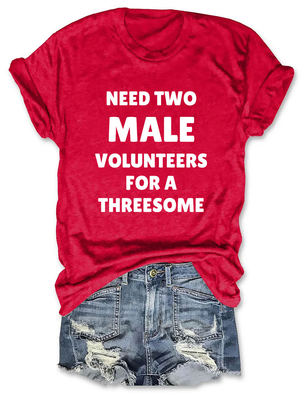 Need Two Male Volunteers For A Threesome Funny T-Shirt
