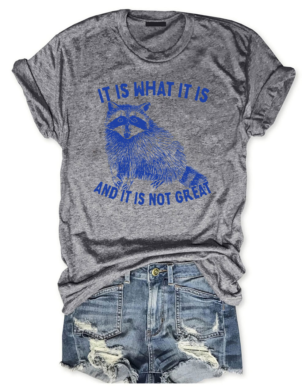 It Is What It Is And It Is Not Great Unisex T-Shirt