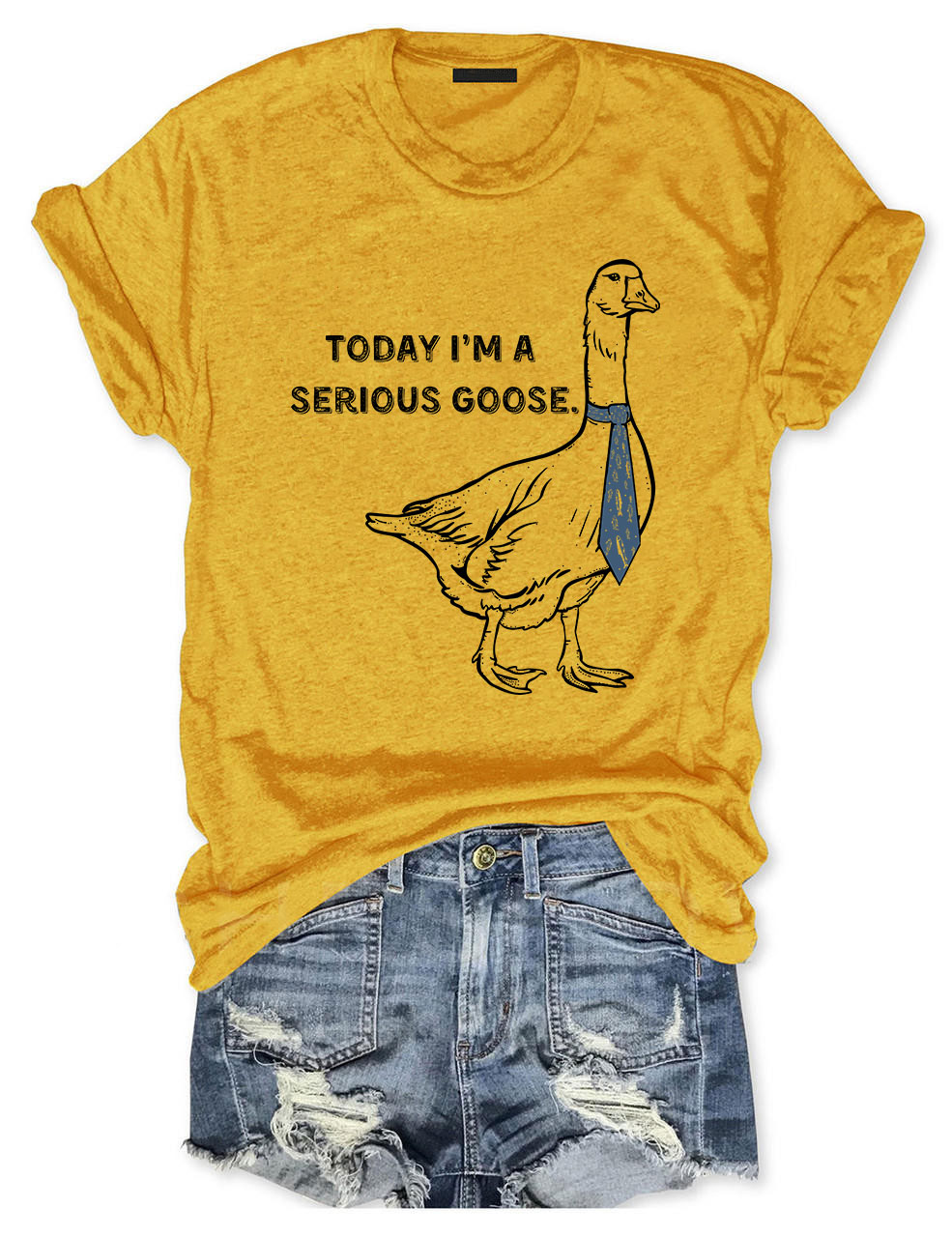 Today I'm a Serious Goose T-shirt