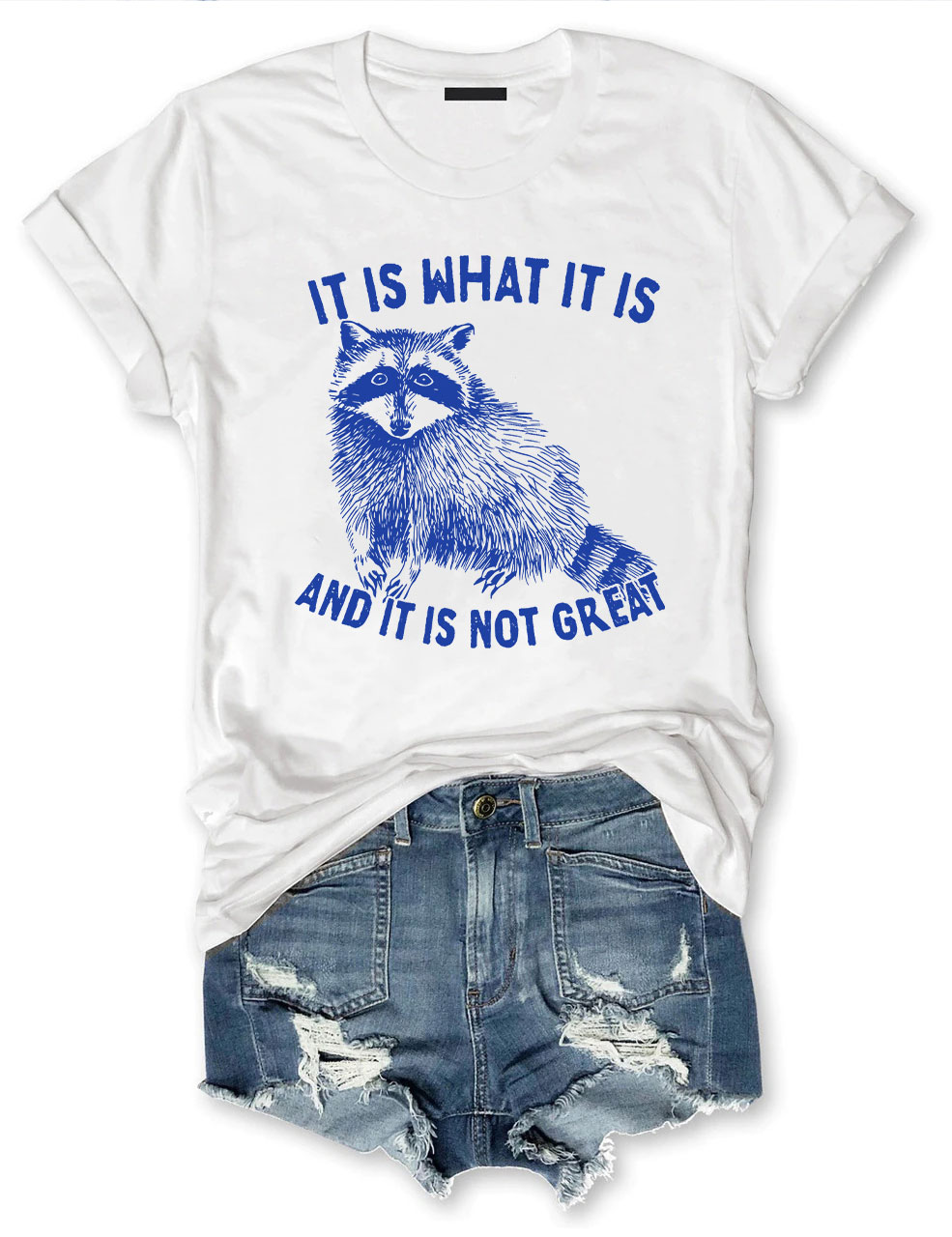 It Is What It Is And It Is Not Great Unisex T-Shirt