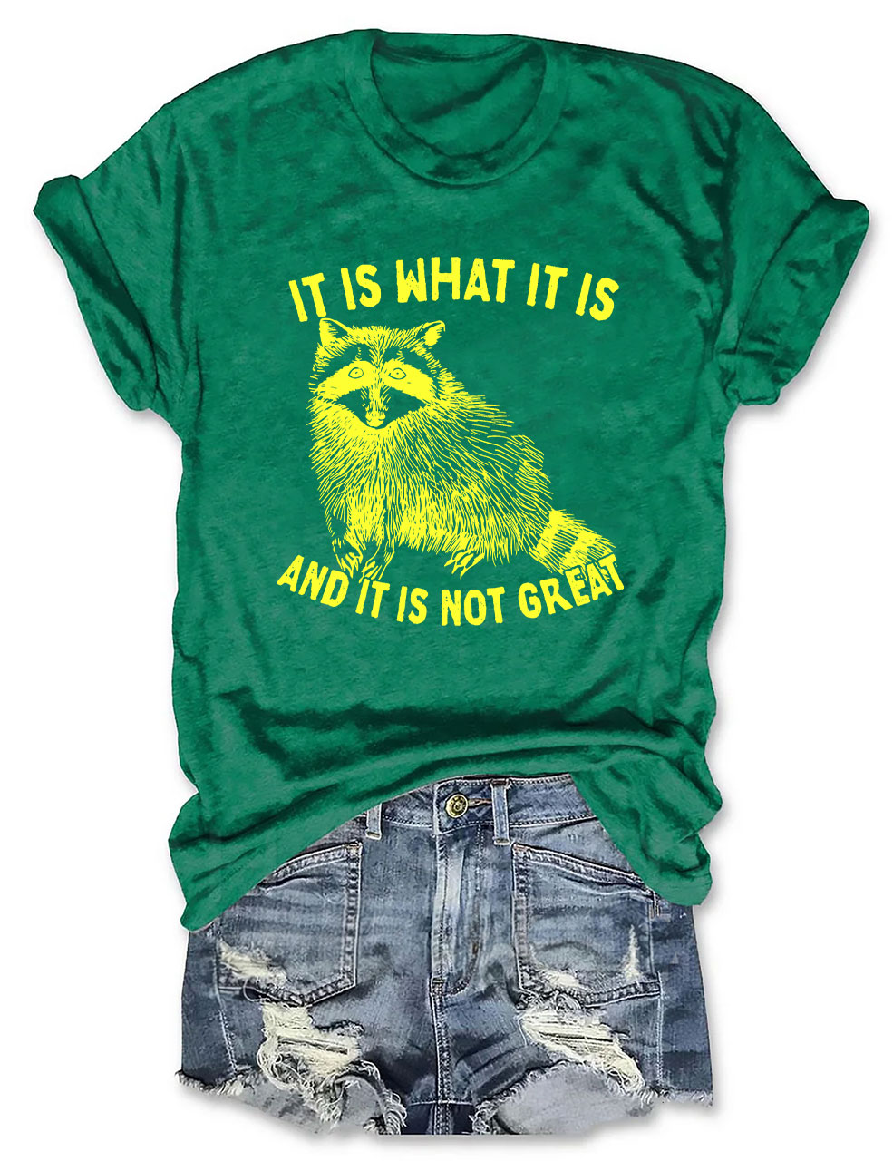 It Is What It Is And It Is Not Great Unisex T-Shirt