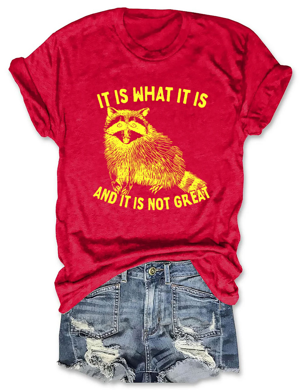 It Is What It Is And It Is Not Great Unisex T-Shirt