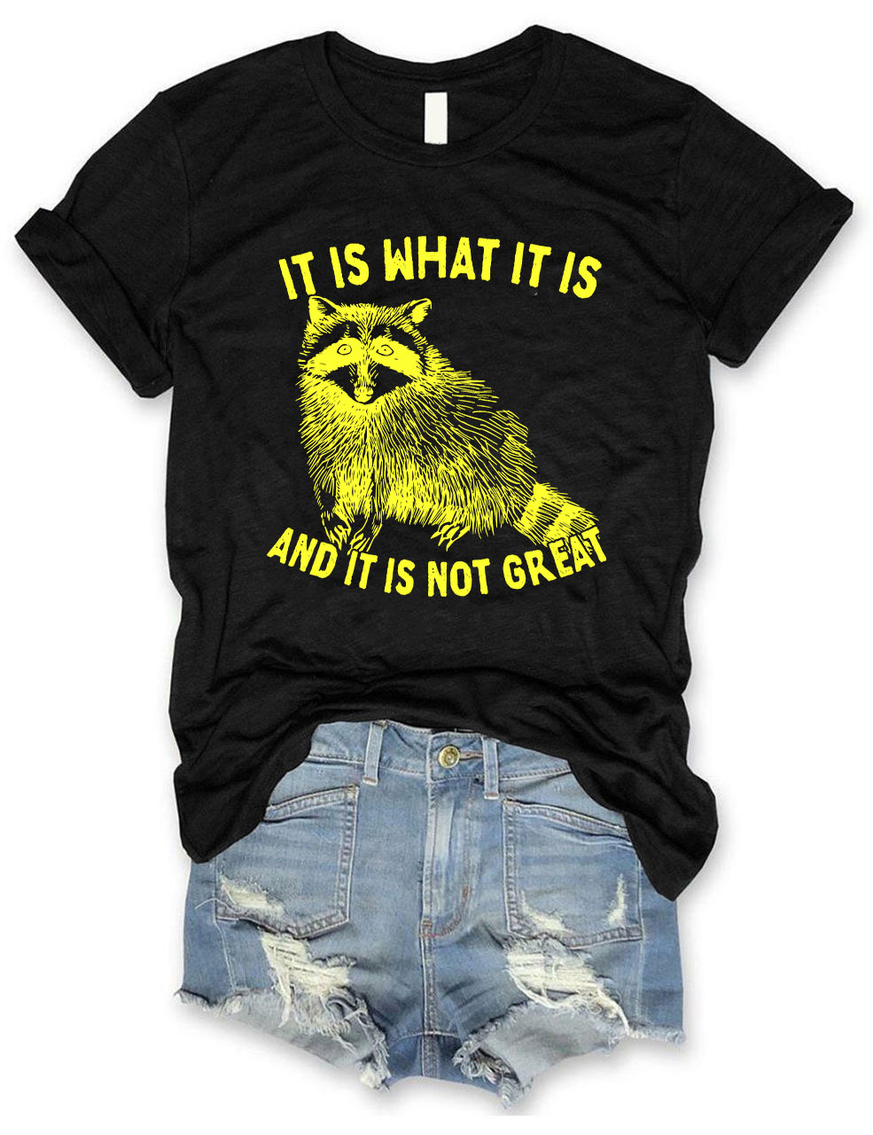 It Is What It Is And It Is Not Great Unisex T-Shirt