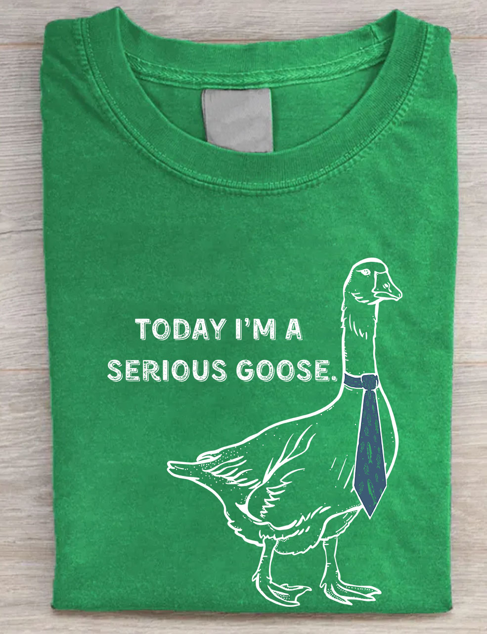 Today I'm a Serious Goose T-shirt