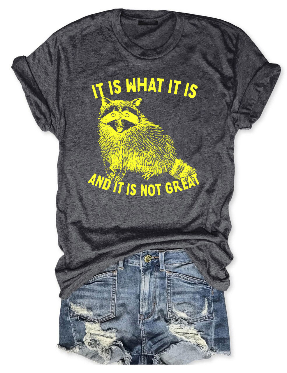 It Is What It Is And It Is Not Great Unisex T-Shirt