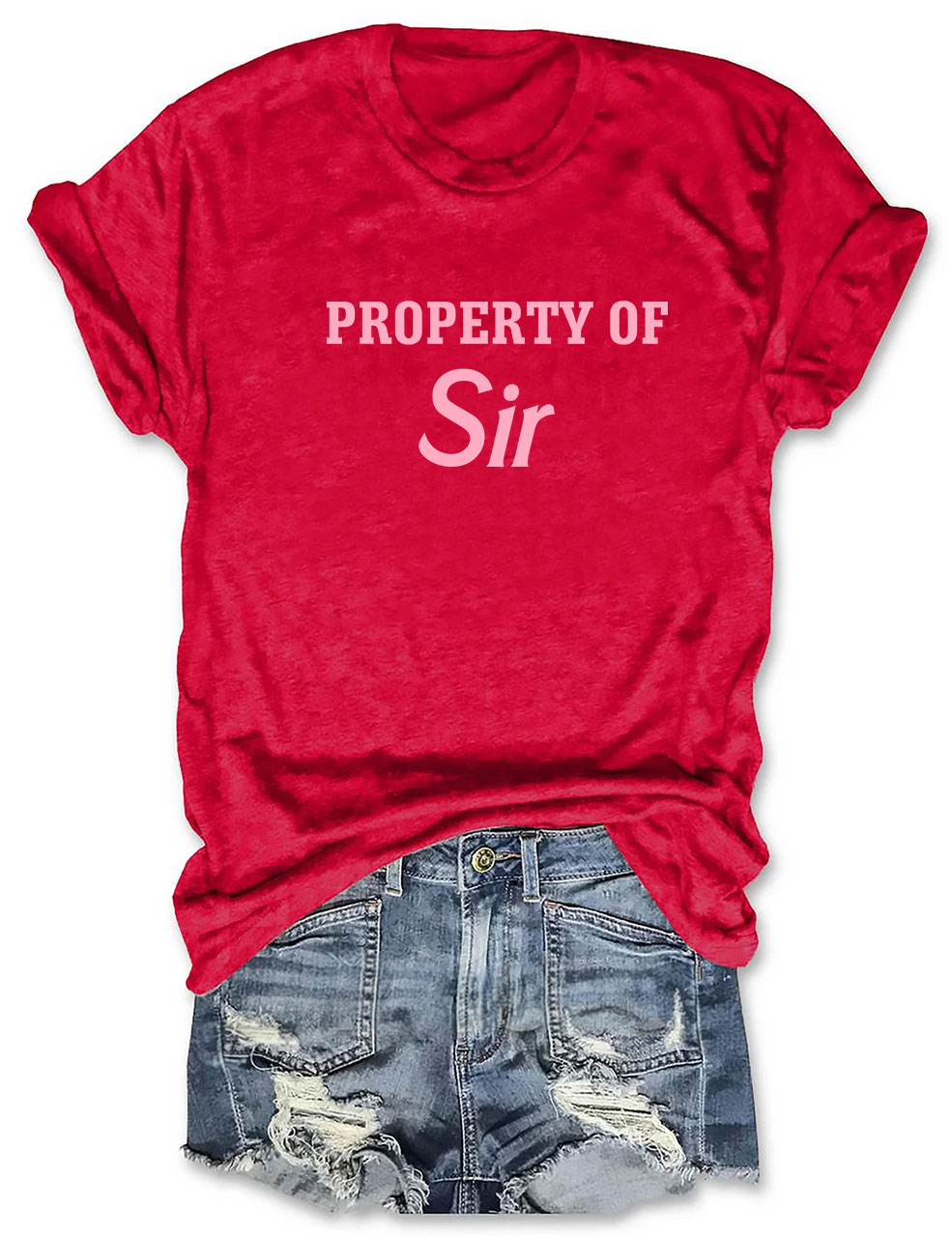Property Of Sir Funny T-Shirt