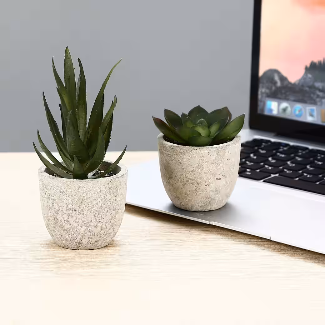 Kunstpflanze 5er-Set Mini Kunstpflanzen Künstliche Pflanzen Kunstpflanzen Büro Deko