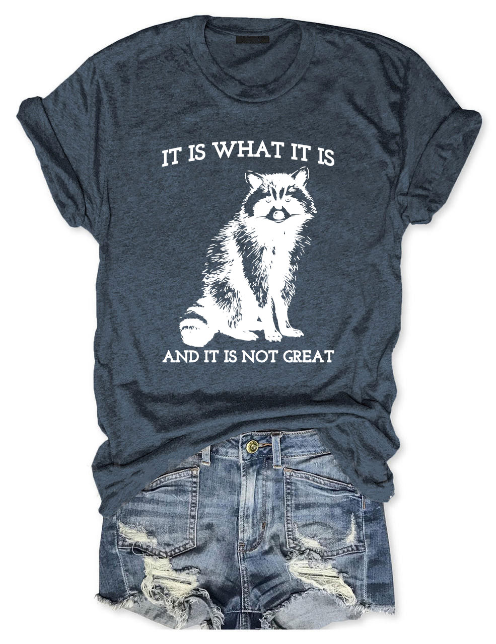 It Is What It Is And It Is Not Great T-shirt