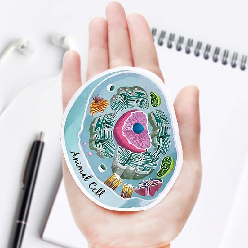 Animal Cell Nurse Stickers