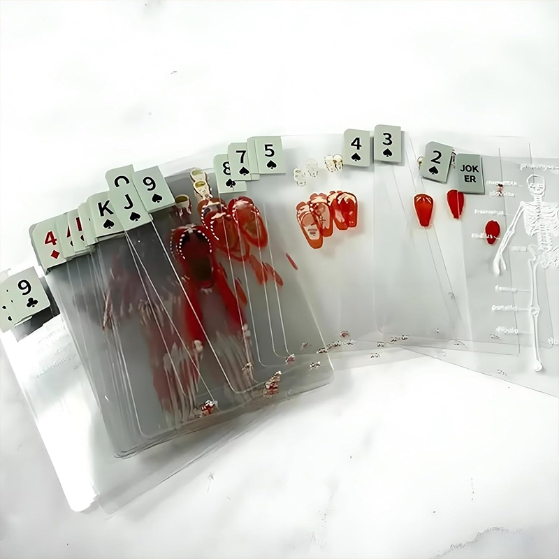 The Body Deck Transparent Anatomy Playing Cards