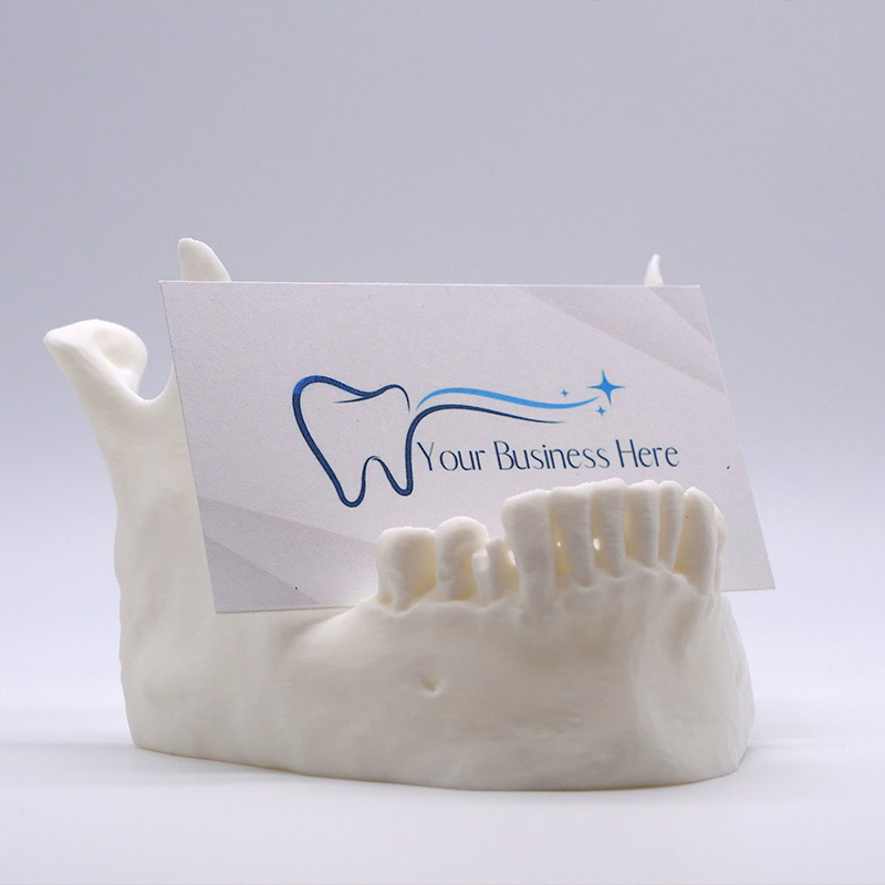 Lower Jaw Card Holder