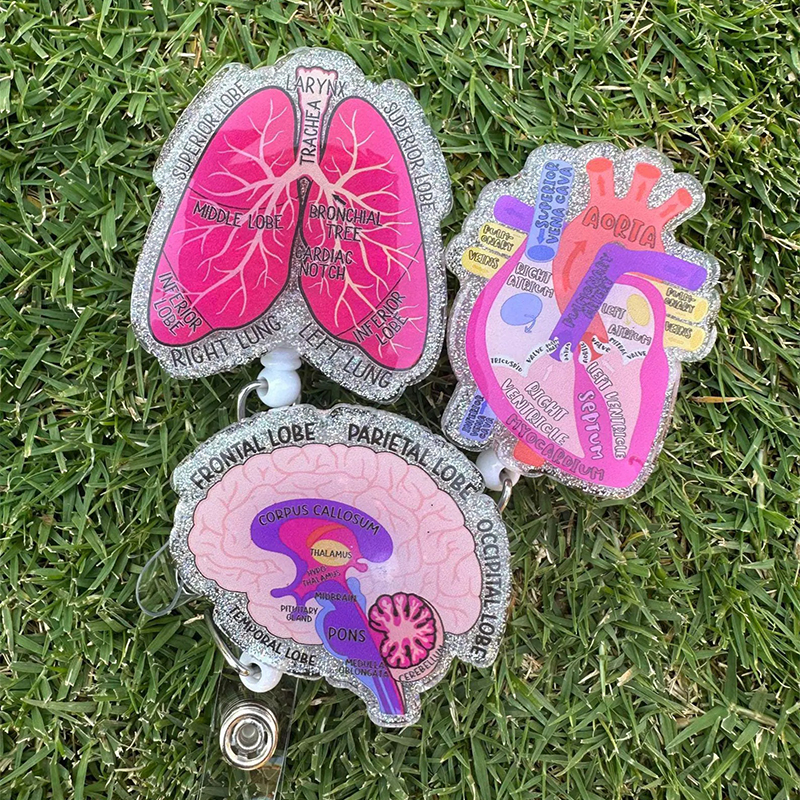 Human Anatomical Badge Reel