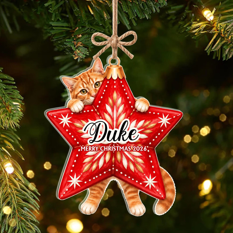 Personalized Cat Hugging Christmas Ornament
