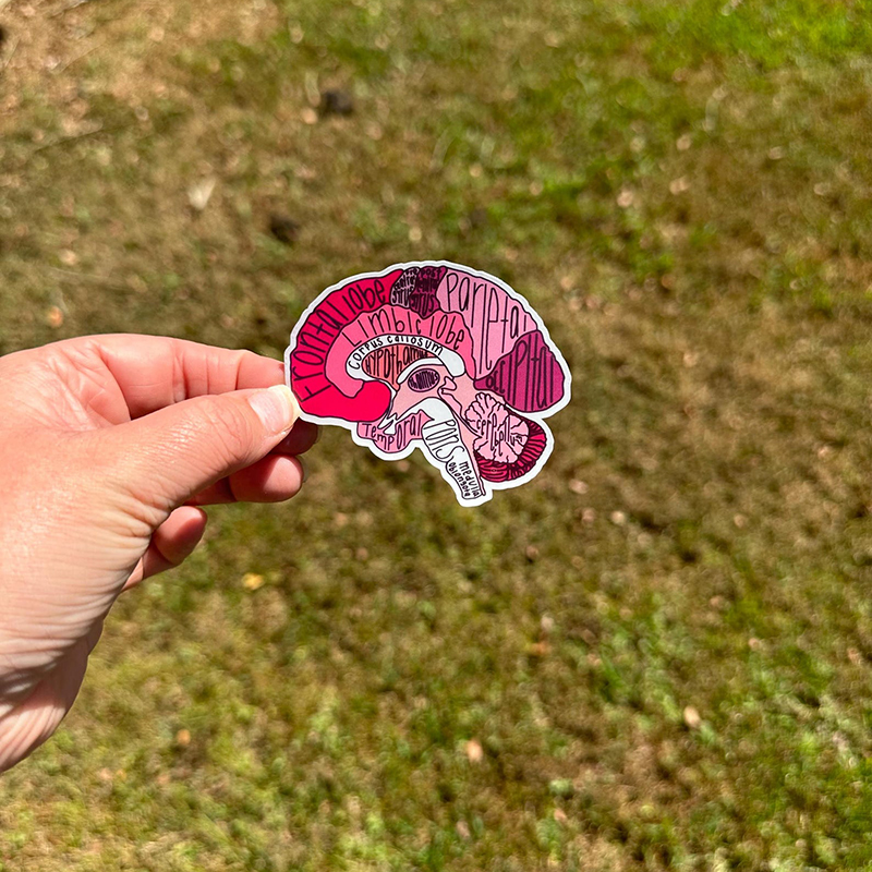 Organ Anatomy Nurse Stickers