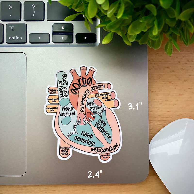 Anatomical Heart Nurse Stickers