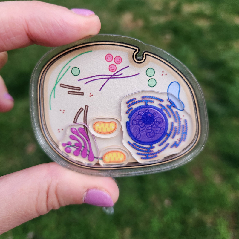 Microbiology Laboratory Badge Reel