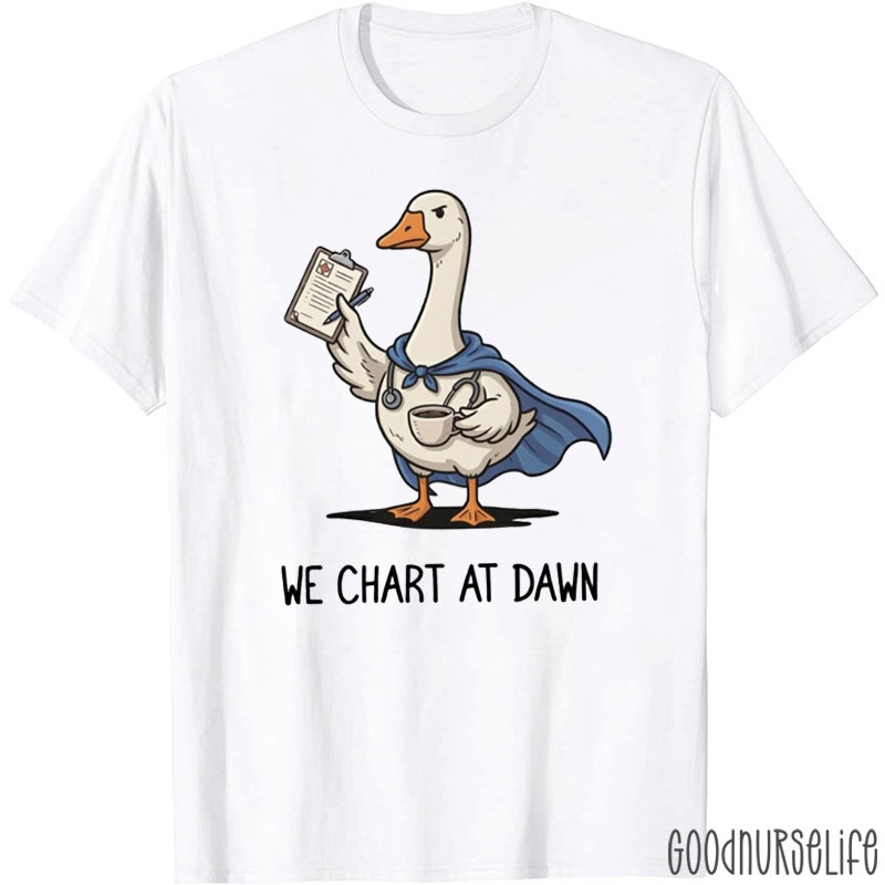 Silly Goose We Chart At Dawn Nurse T-Shirt