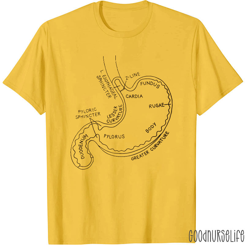 Stomach Parts Name Chart Nurse T-shirt