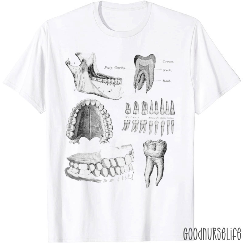 Dental Anatomy Nurse T-shirt