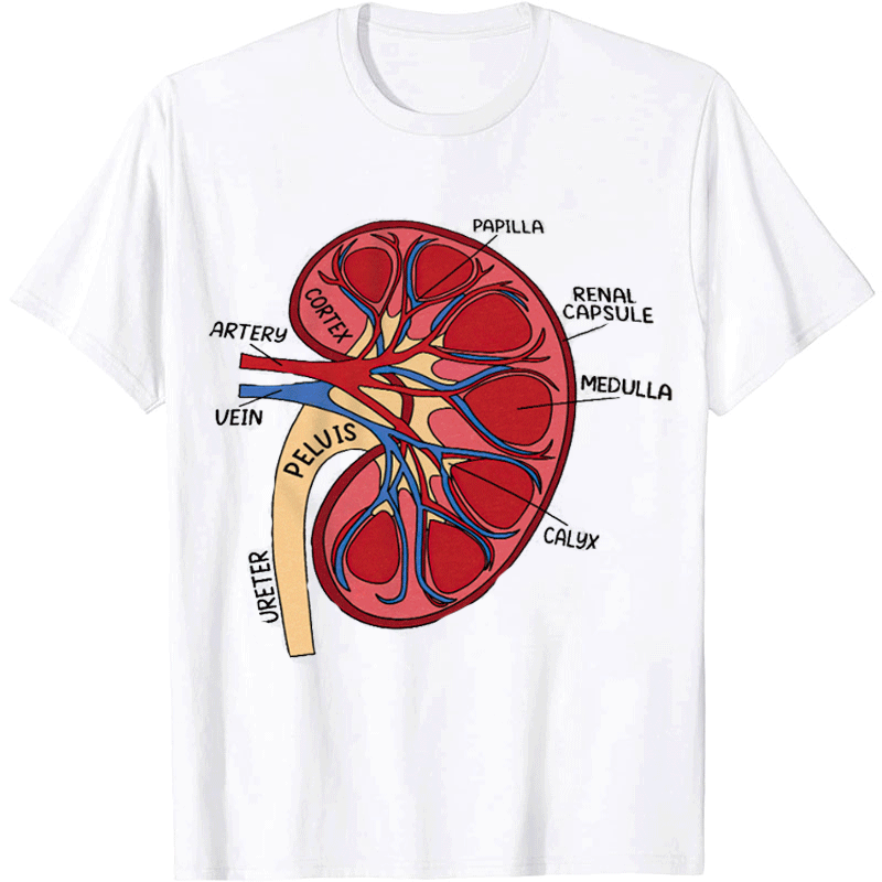 Kidney Anatomy Diagram Nurse T-shirt