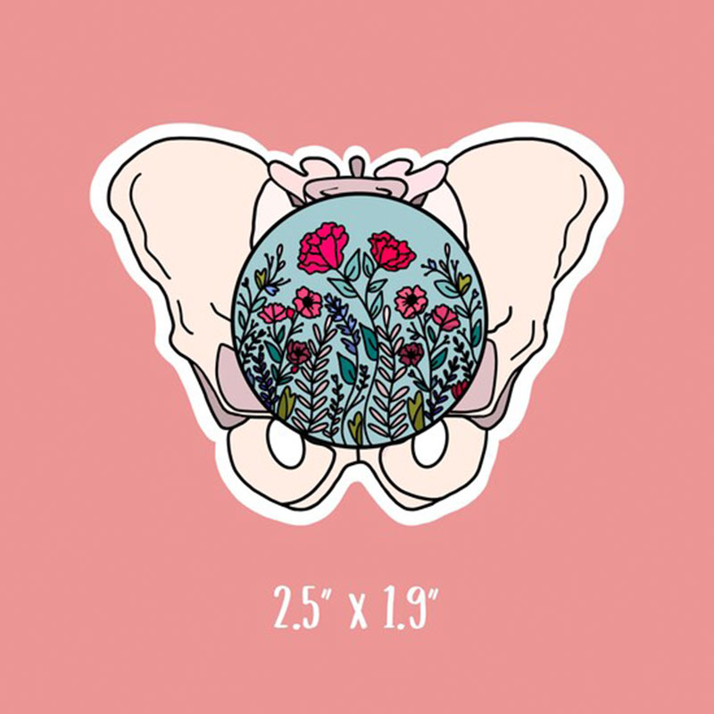 Pelvic Health Physical Therapy Nurse Stickers