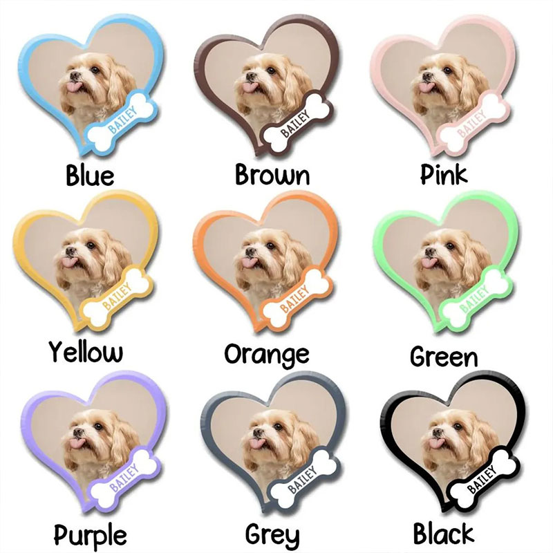 Personalized Pet Photo And Name Badge Reel