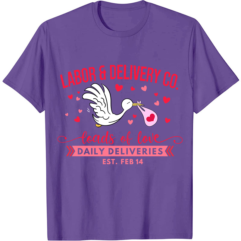 Labor And Delivery Co Nurse T-Shirt