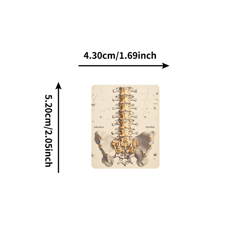 50PCS Realistic Organ Nurse Stickers