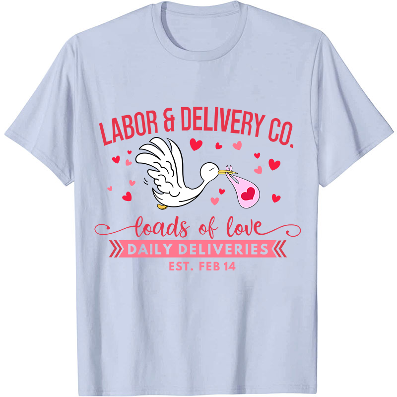 Labor And Delivery Co Nurse T-Shirt