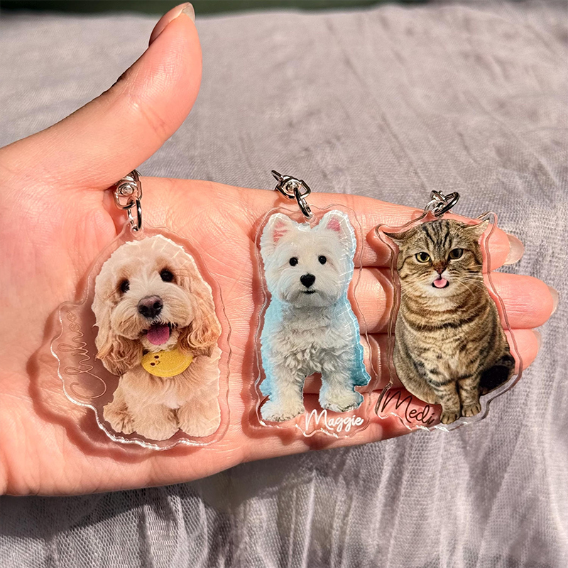 Personalized Pet Photo Memorial Nurse Keychain
