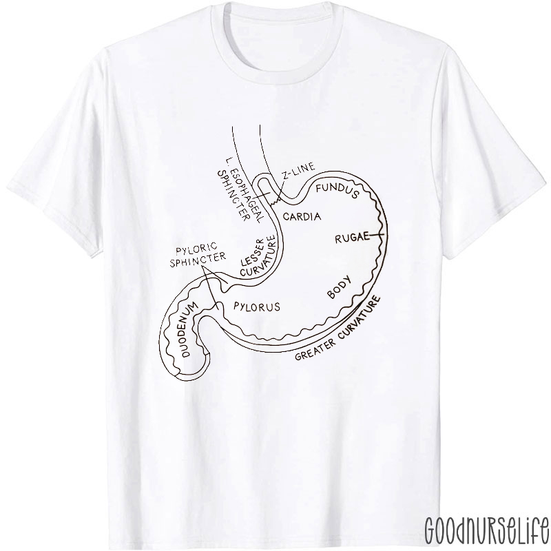 Stomach Parts Name Chart Nurse T-shirt