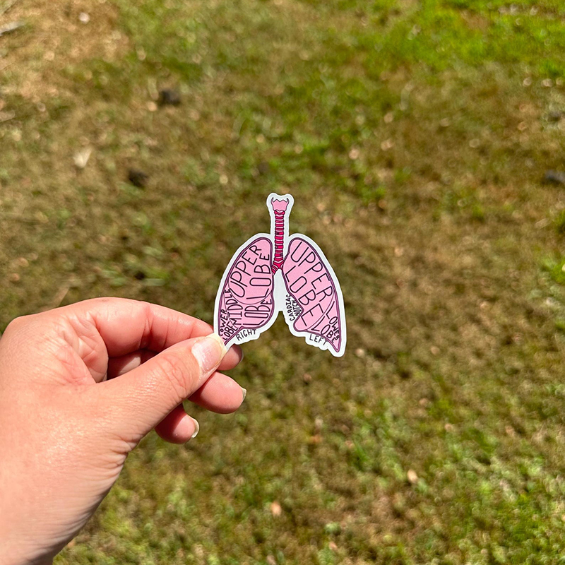 Organ Anatomy Nurse Stickers