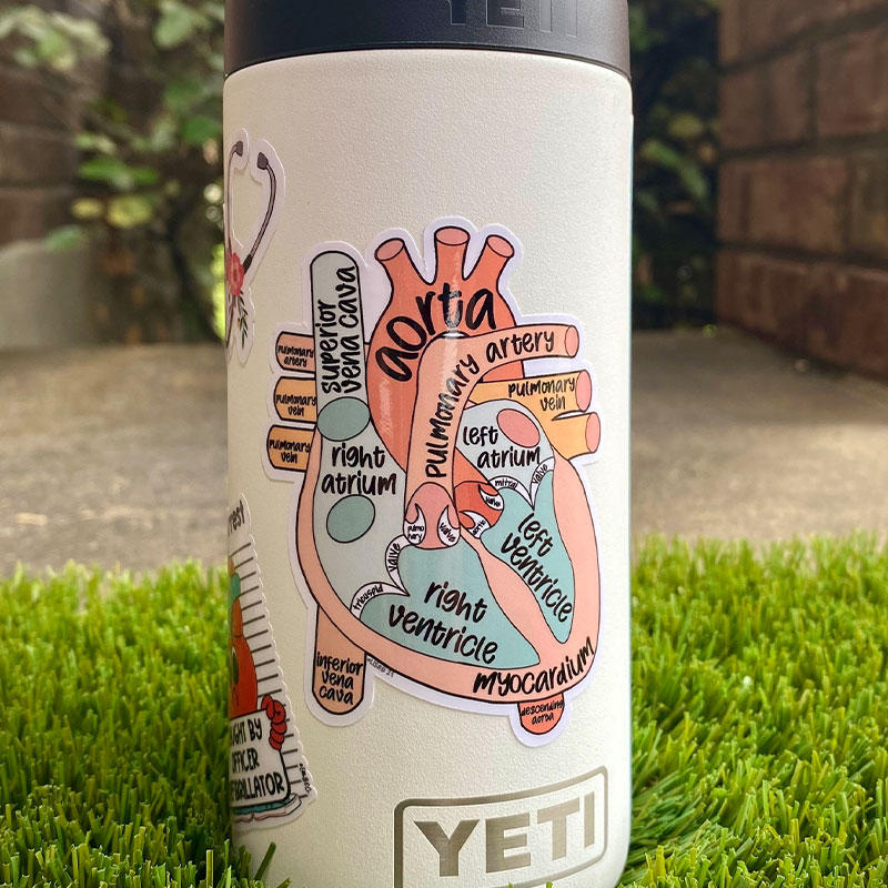 Anatomical Heart Nurse Stickers