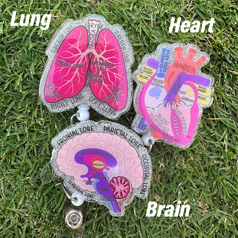 Human Anatomical Badge Reel