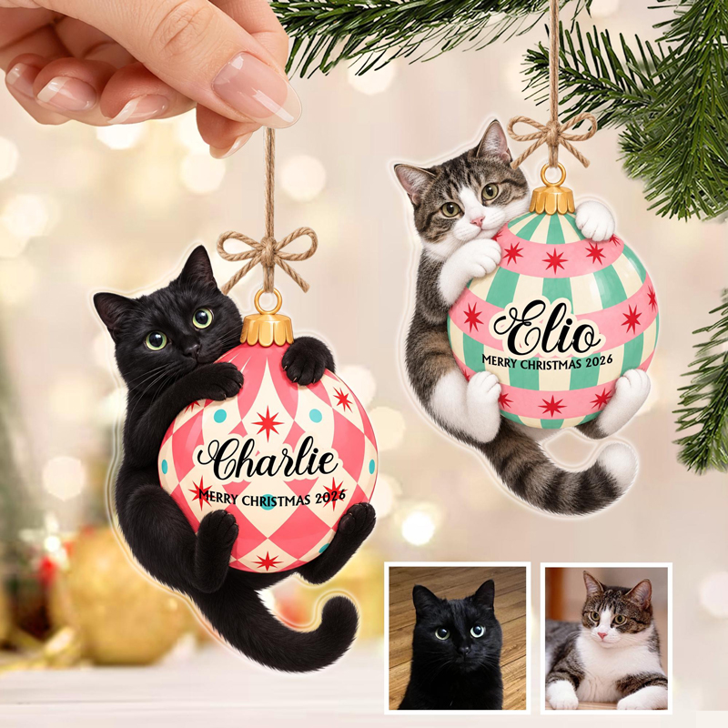 Personalized Cat Hugging Christmas Ornament