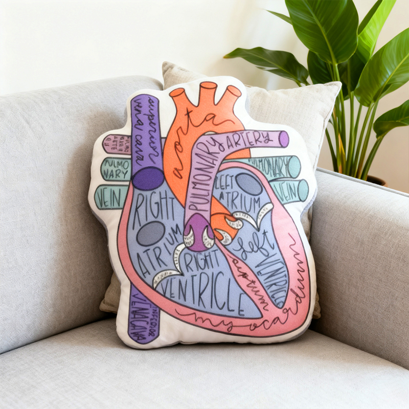 Anatomy Heart Cushion
