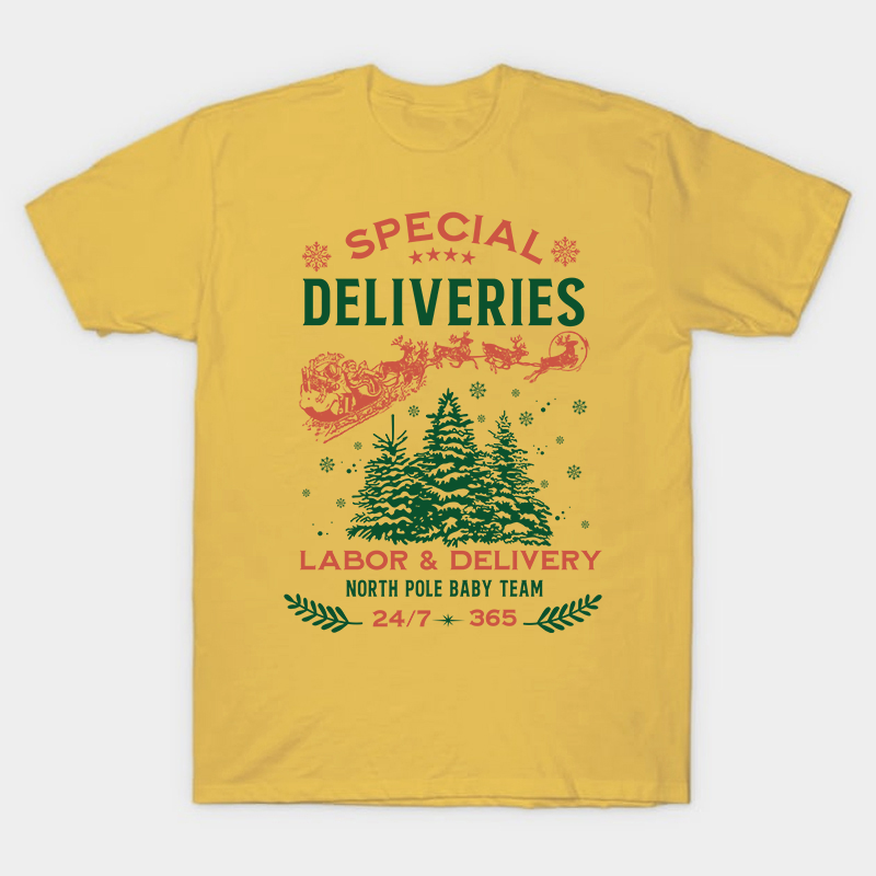 Special Deliveries Nurse T-Shirt
