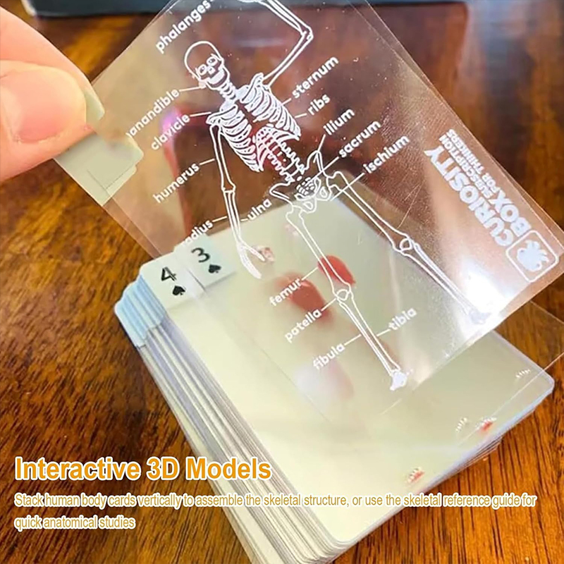 The Body Deck Transparent Anatomy Playing Cards