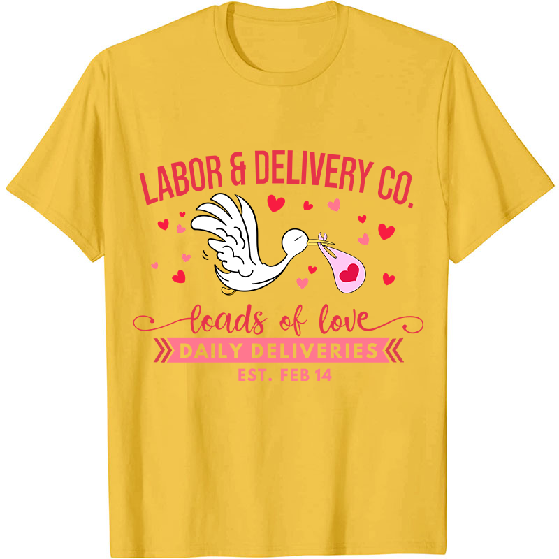Labor And Delivery Co Nurse T-Shirt